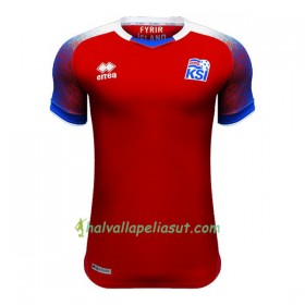 Jalkapallo Pelipaidat Islanti Maalivahti World Cup 2018 Kotipaita